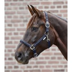 Waldhausen Halfter Crystal Night Blue