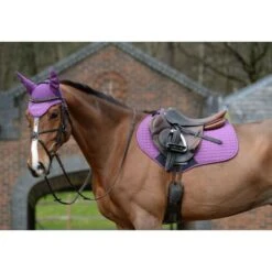 Weatherbeeta Schabracke Prime Springen Violett -Waldhausen Verkaufe wb 1000071000 1000747000 violet wb prime jp sp image null hero.11b5d1