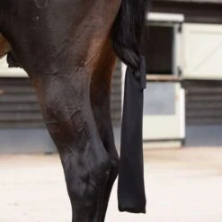 Weatherbeeta Schwanztasche Lycra Violett -Waldhausen Verkaufe wb 803186.210418