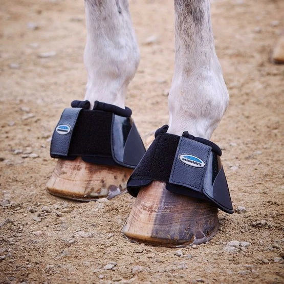 Weatherbeeta Hufglocken Prime Schwarz/Royal Blau 6 Weatherbeeta Hufglocken Prime Schwarz/Royal Blau – Bild 4