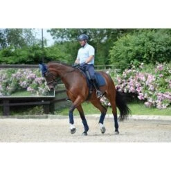 Weatherbeeta Fleecebandagen Prime 4 Stück Royal Blue 3,5m -Waldhausen Verkaufe wb 815061 815077 803084 l1.99f0d9