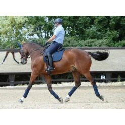 Weatherbeeta Fleecebandagen Prime 4 Stück Royal Blue 3,5m -Waldhausen Verkaufe wb 815061 815077 803084 l2.fd3197