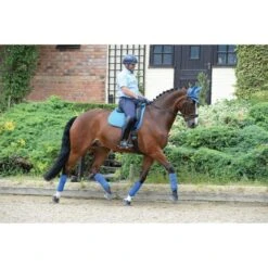 Weatherbeeta Fleecebandagen Prime 4 Stück Royal Blue 3,5m -Waldhausen Verkaufe wb 818216 818526 803087 l1.edca8f