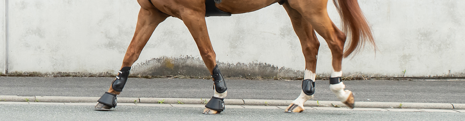 Waldhausen Verkaufe 1 Waldhausen Verkaufe -Waldhausen Verkaufe 243 Category